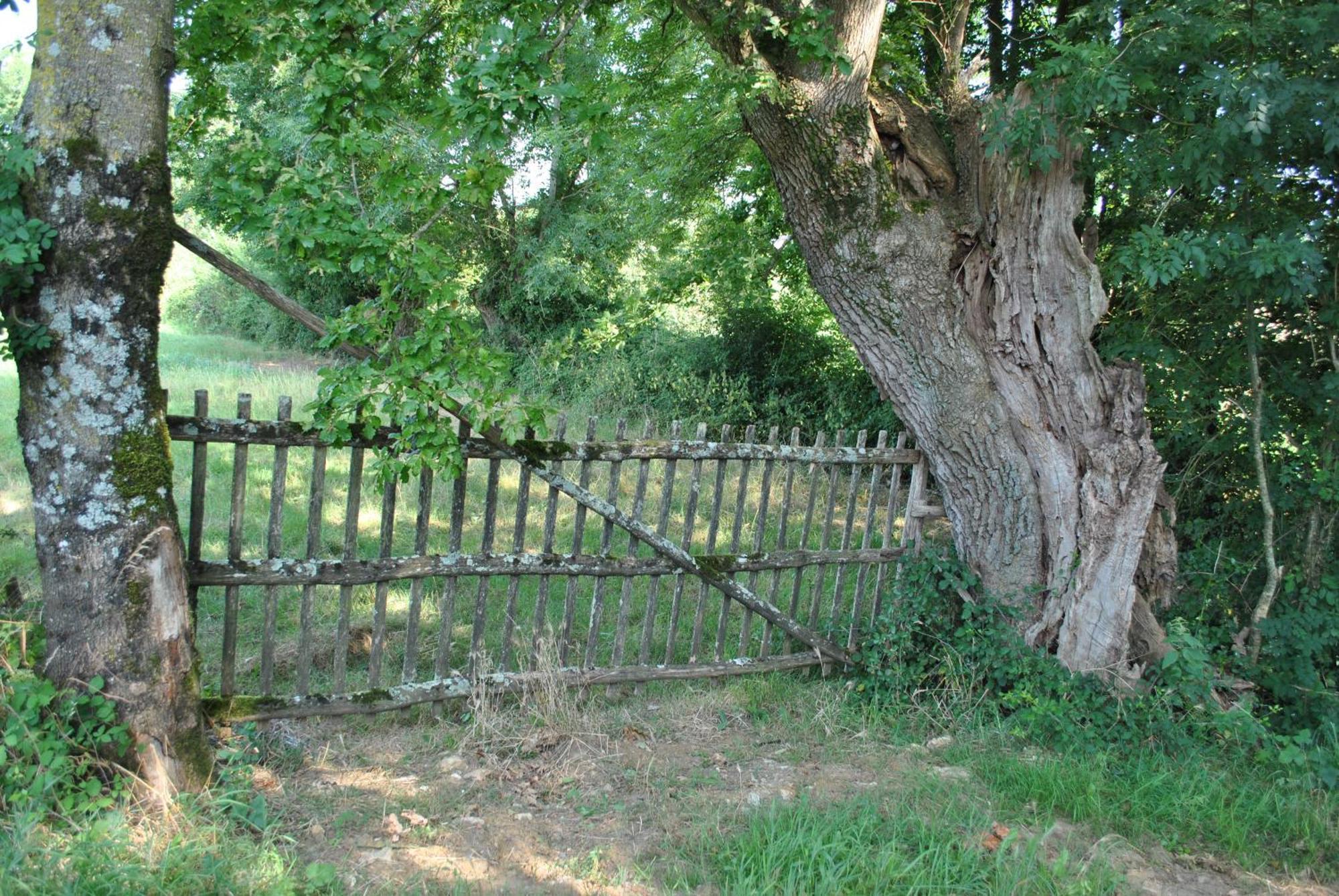 Une Chambre Au Calme En Gatine Deux-Sevrienne Vouhe (Deux-Sevres) Exterior foto